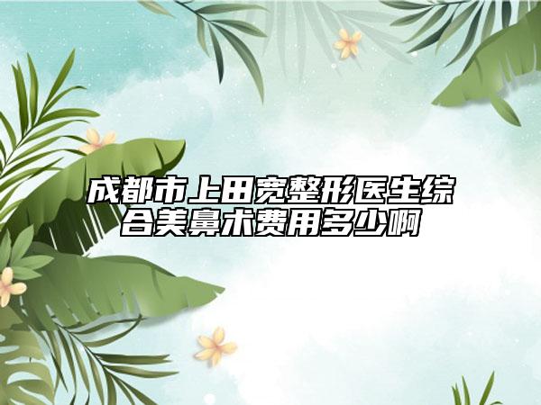 成都市上田宽整形医生综合美鼻术费用多少啊