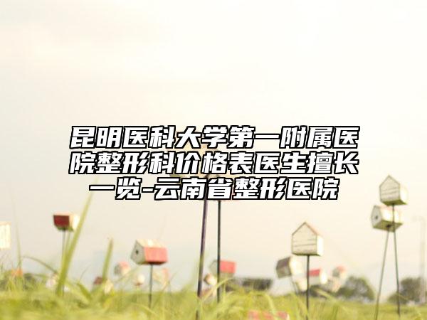 昆明医科大学第一附属医院整形科价格表医生擅长一览-云南省整形医院