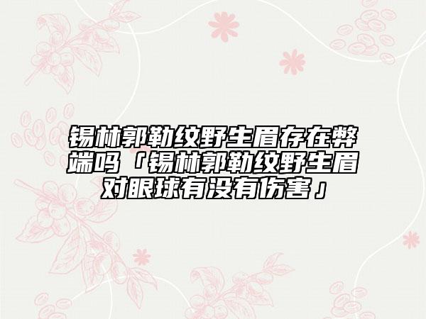 锡林郭勒纹野生眉存在弊端吗「锡林郭勒纹野生眉对眼球有没有伤害」