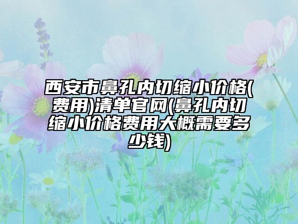 西安市鼻孔内切缩小价格(费用)清单官网(鼻孔内切缩小价格费用大概需要多少钱)