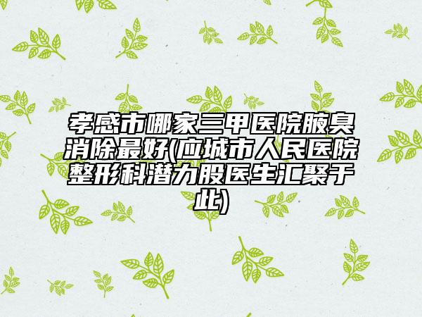 孝感市哪家三甲医院腋臭消除最好(应城市人民医院整形科潜力股医生汇聚于此)