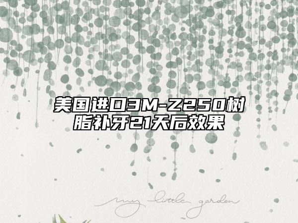 美国进口3M-Z250树脂补牙21天后效果