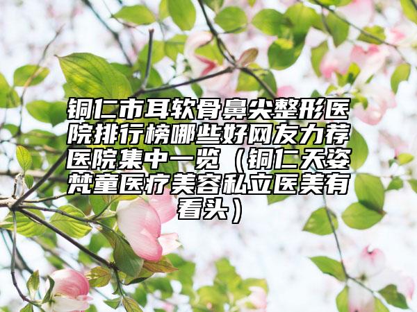 铜仁市耳软骨鼻尖整形医院排行榜哪些好网友力荐医院集中一览（铜仁天姿梵童医疗美容私立医美有看头）