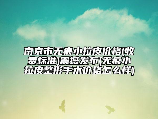 南京市无痕小拉皮价格(收费标准)震撼发布(无痕小拉皮整形手术价格怎么样)