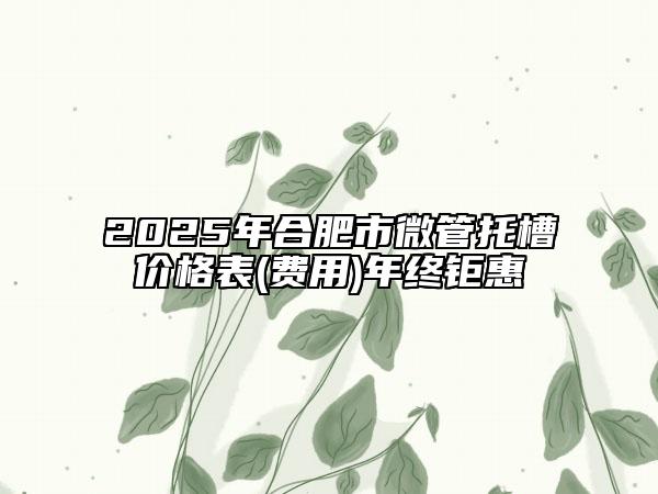 2025年合肥市微管托槽价格表(费用)年终钜惠