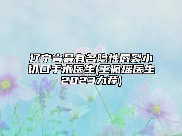 辽宁省最有名隐性唇裂小切口手术医生(王佩瑶医生2023力荐)