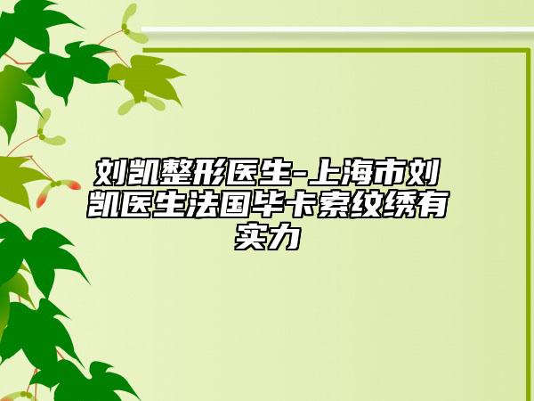 刘凯整形医生-上海市刘凯医生法国毕卡索纹绣有实力
