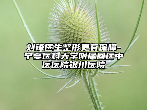 刘锋医生整形更有保障-宁夏医科大学附属回医中医医院银川医院
