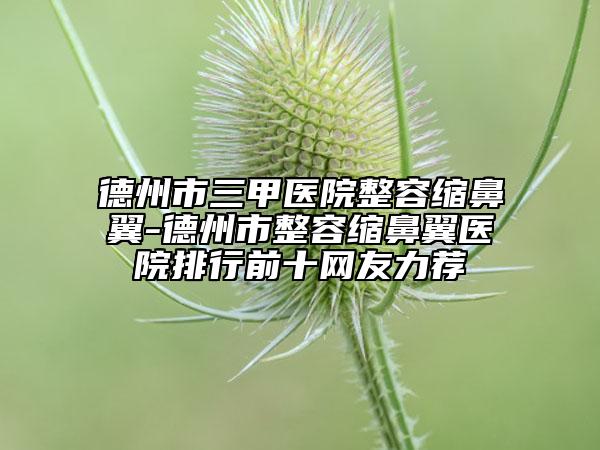 德州市三甲医院整容缩鼻翼-德州市整容缩鼻翼医院排行前十网友力荐