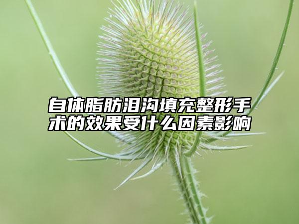 自体脂肪泪沟填充整形手术的效果受什么因素影响