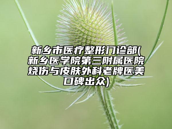 新乡市医疗整形门诊部(新乡医学院第三附属医院烧伤与皮肤外科老牌医美口碑出众)