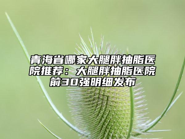 青海省哪家大腿胖抽脂医院推荐：大腿胖抽脂医院前30强明细发布