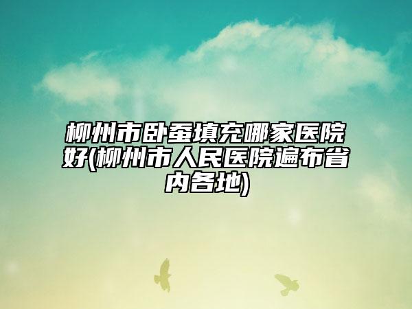 柳州市卧蚕填充哪家医院好(柳州市人民医院遍布省内各地)
