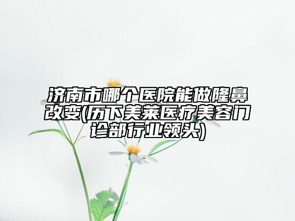 济南市哪个医院能做隆鼻改变(历下美莱医疗美容门诊部行业领头)
