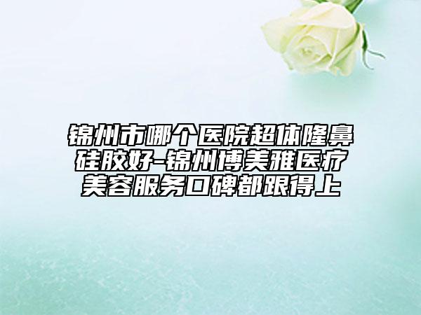 锦州市哪个医院超体隆鼻硅胶好-锦州博美雅医疗美容服务口碑都跟得上