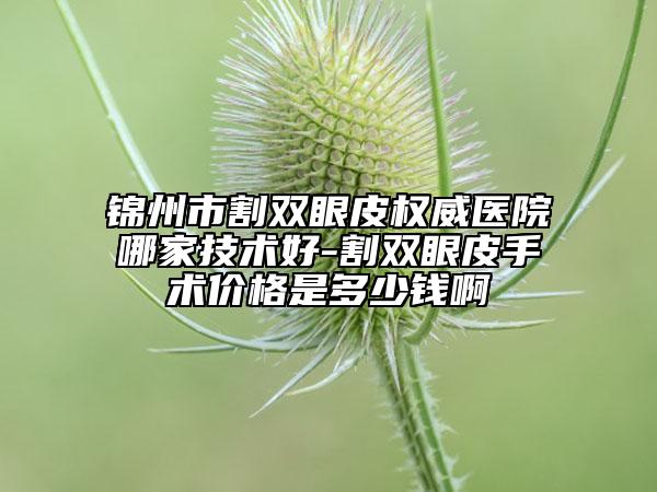 锦州市割双眼皮权威医院哪家技术好-割双眼皮手术价格是多少钱啊