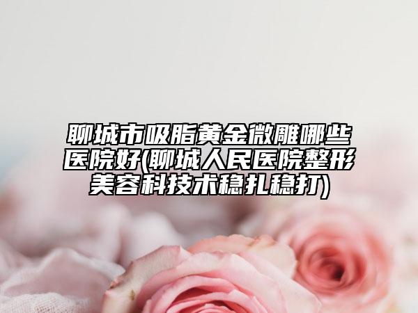 聊城市吸脂黄金微雕哪些医院好(聊城人民医院整形美容科技术稳扎稳打)