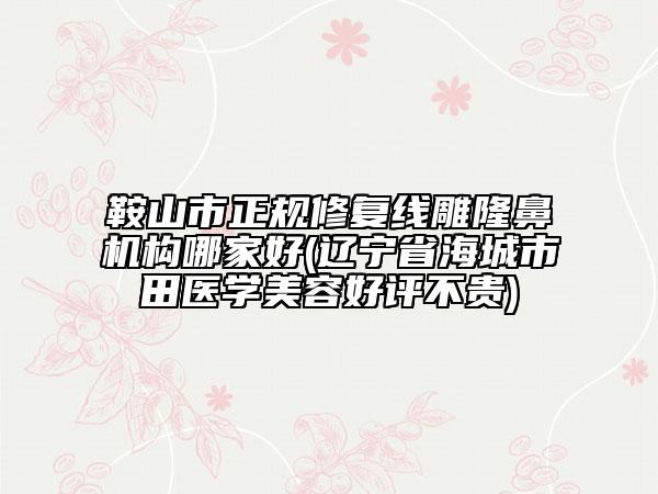鞍山市正规修复线雕隆鼻机构哪家好(辽宁省海城市田医学美容好评不贵)