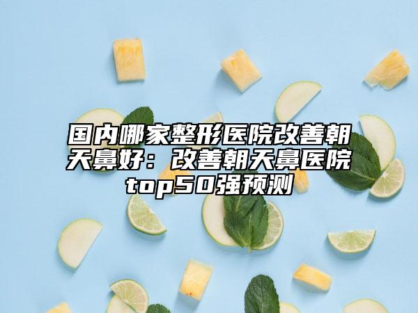 国内哪家整形医院改善朝天鼻好：改善朝天鼻医院top50强预测