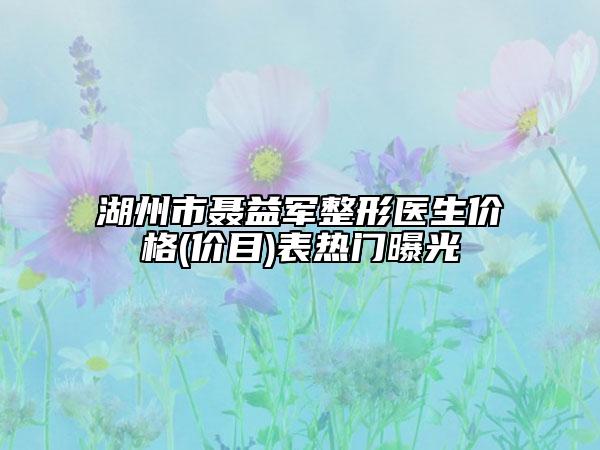 湖州市聂益军整形医生价格(价目)表热门曝光