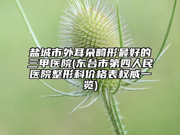 盐城市外耳朵畸形最好的三甲医院(东台市第四人民医院整形科价格表权威一览)