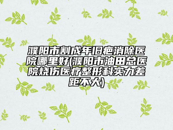 濮阳市割成年旧疤消除医院哪里好(濮阳市油田总医院烧伤医疗整形科实力差距不大)