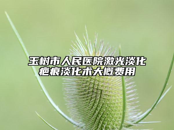 玉树市人民医院激光淡化疤痕淡化术大概费用