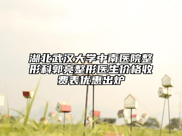 湖北武汉大学中南医院整形科郭亮整形医生价格收费表优惠出炉