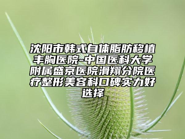 沈阳市韩式自体脂肪移植丰胸医院-中国医科大学附属盛京医院滑翔分院医疗整形美容科口碑实力好选择
