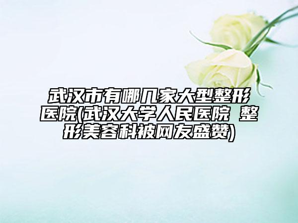 武汉市有哪几家大型整形医院(武汉大学人民医院​整形美容科被网友盛赞)