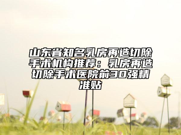 山东省知名乳房再造切除手术机构推荐：乳房再造切除手术医院前30强精准贴