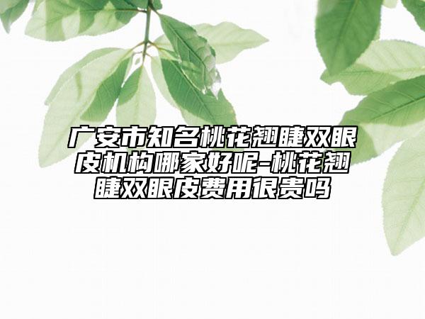 广安市知名桃花翘睫双眼皮机构哪家好呢-桃花翘睫双眼皮费用很贵吗