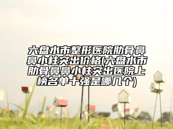 六盘水市整形医院肋骨鼻鼻小柱突出价格(六盘水市肋骨鼻鼻小柱突出医院上榜名单十强是哪几个)