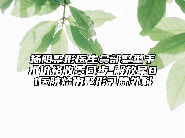 杨阳整形医生鼻部整型手术价格收费同步-解放军81医院烧伤整形乳腺外科