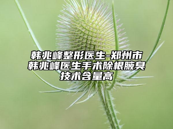 韩兆峰整形医生-郑州市韩兆峰医生手术除根腋臭技术含量高