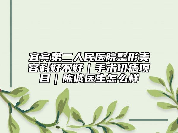 宜宾第二人民医院整形美容科好不好｜手术切痣项目｜陈诚医生怎么样