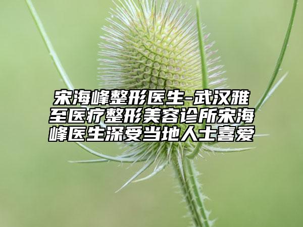 宋海峰整形医生-武汉雅至医疗整形美容诊所宋海峰医生深受当地人士喜爱