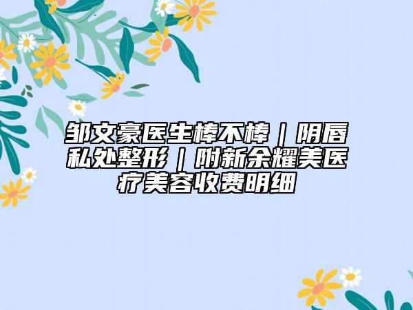 邹文豪医生棒不棒｜阴唇私处整形｜附新余耀美医疗美容收费明细