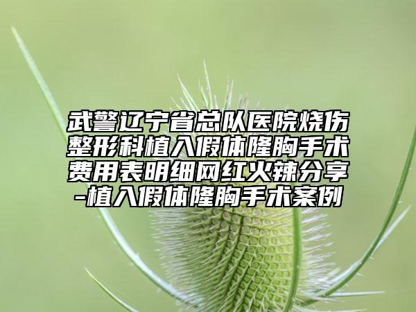 武警辽宁省总队医院烧伤整形科植入假体隆胸手术费用表明细网红火辣分享-植入假体隆胸手术案例