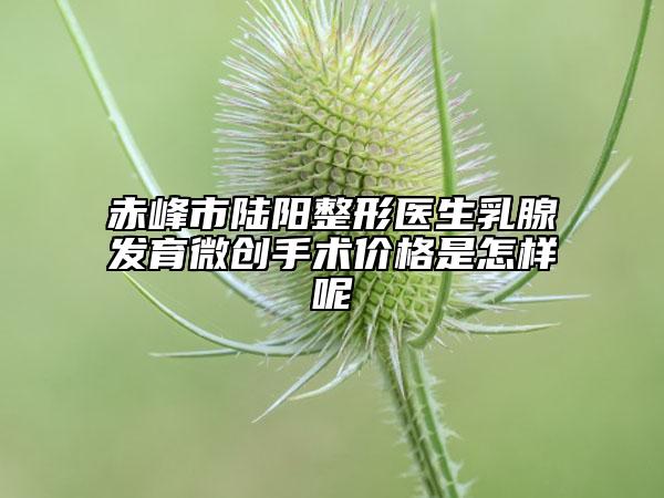赤峰市陆阳整形医生乳腺发育微创手术价格是怎样呢