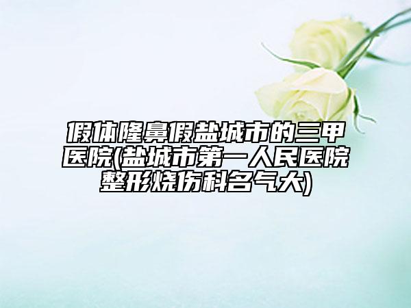 假体隆鼻假盐城市的三甲医院(盐城市第一人民医院整形烧伤科名气大)