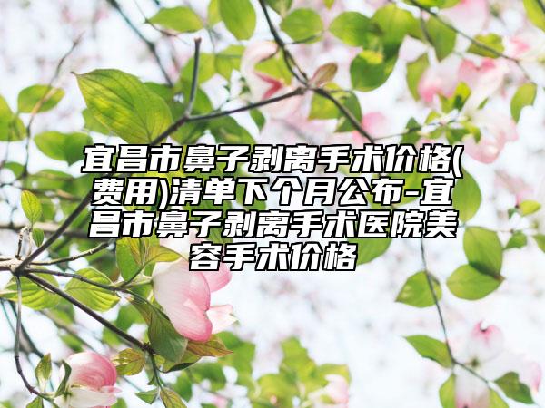 宜昌市鼻子剥离手术价格(费用)清单下个月公布-宜昌市鼻子剥离手术医院美容手术价格