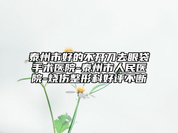 泰州市好的不开刀去眼袋手术医院-泰州市人民医院-烧伤整形科好评不断