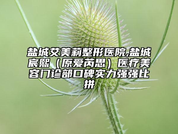 盐城艾美莉整形医院,盐城宸熙（原爱芮思）医疗美容门诊部口碑实力强强比拼