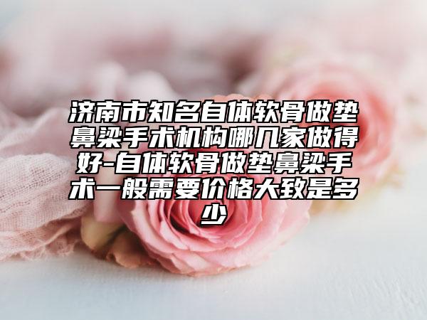 济南市知名自体软骨做垫鼻梁手术机构哪几家做得好-自体软骨做垫鼻梁手术一般需要价格大致是多少