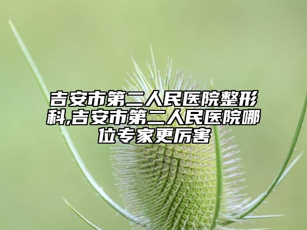 吉安市第二人民医院整形科,吉安市第二人民医院哪位专家更厉害