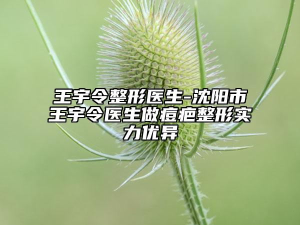 王宇令整形医生-沈阳市王宇令医生做痘疤整形实力优异