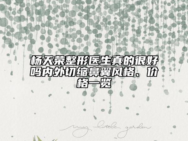 杨天荣整形医生真的很好吗内外切缩鼻翼风格、价格一览