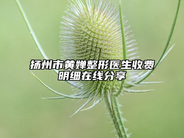 扬州市黄婵整形医生收费明细在线分享