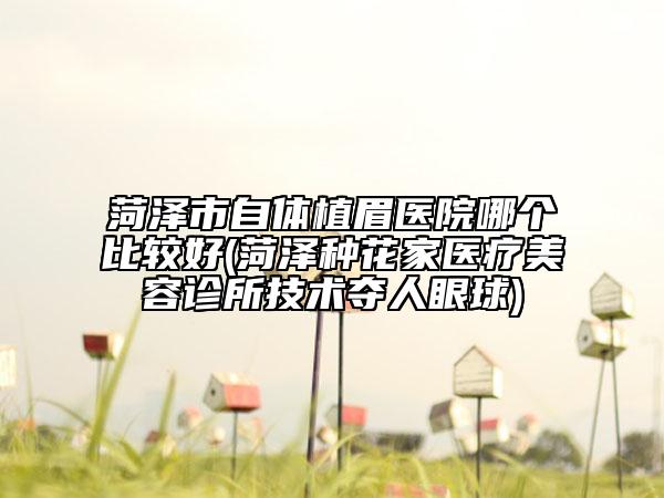 菏泽市自体植眉医院哪个比较好(菏泽种花家医疗美容诊所技术夺人眼球)